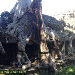 Храм Ангкор-Ват, Расхитительница Гробниц