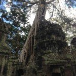 Храм Angkor wat Tomb Raider