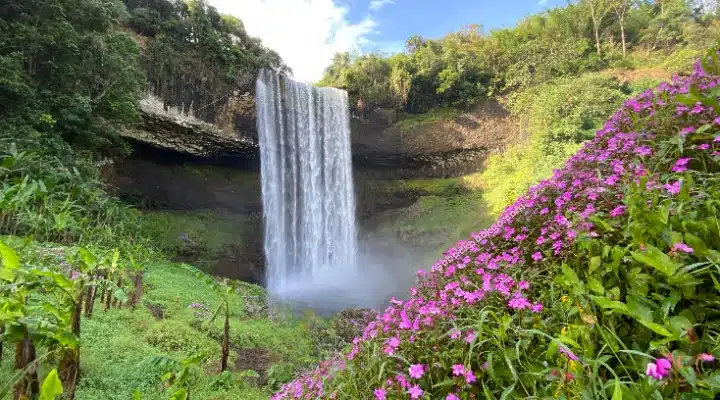 Mooiste waterval pakse lus - Tad Jarou Halang (Tad Tayicseua) Waterval Mooiste waterval pakse lus - Tad Jarou Halang (Tad Tayicseua) Waterval