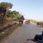 Motoçikletë udhëtimi në vietnam
