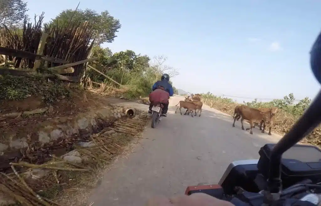 Roadtrip motorbike vietnam