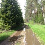 Jalur sepeda gunung menyedot lumpur