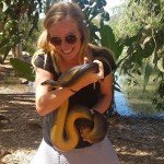 Gevaarlike slange Australië