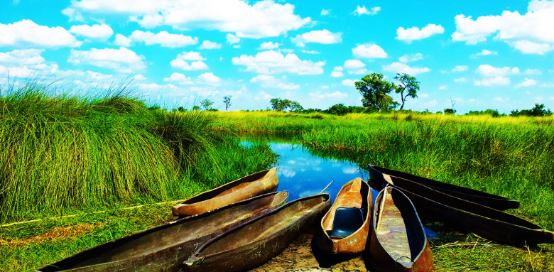 Delta del Okavango Botswana