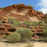 Pěší příroda okno Národní park Kalbari