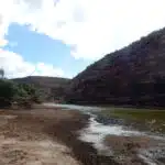 Vandretur i vinduet Kalbari National Park