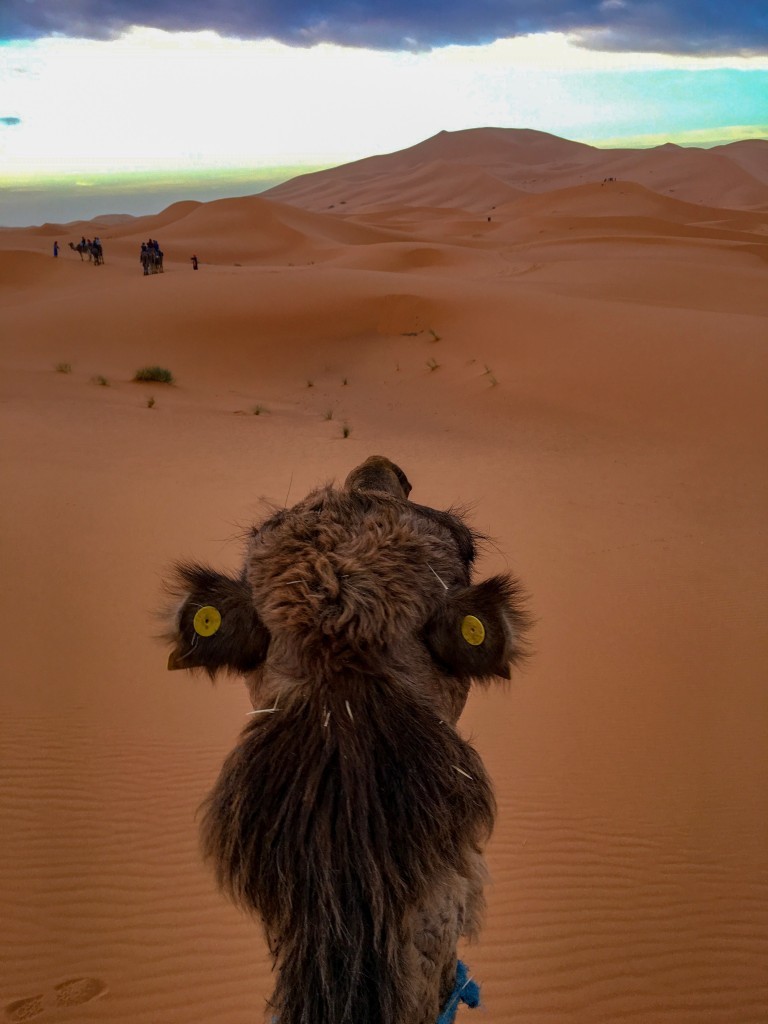 Ørkenstur i Marokko