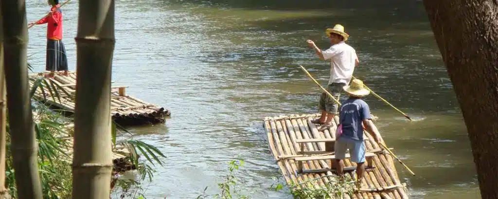 Dingen om te doen in Kerala