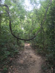 Hiking path path monktrail