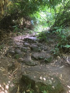 Hiking path path monktrail