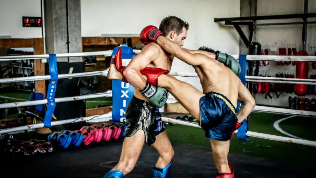 Muay Thai Eduka Vizo