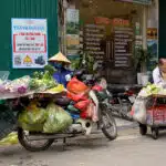 水果和鮮花攤販 河內